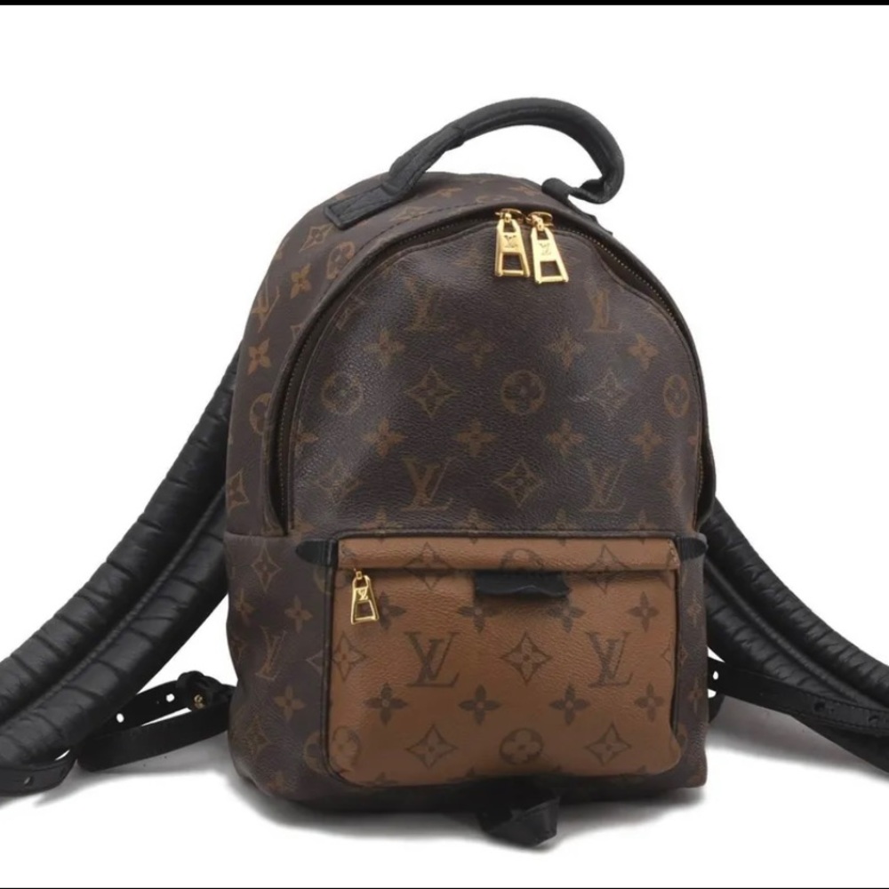 Louis Vuitton Palm Springs Reverse Monogram PM backpack